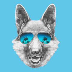 Portrait of German Shepherd with sunglasses. Hand-drawn illustration. Vector isolated elements.	