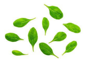 Fresh baby spinach leaves isolated on a white background, top view.