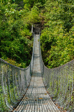 Suspension bridge in Panchase jungle, Nepal