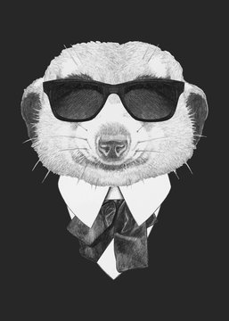 Portrait of Meerkat in suit. Hand-drawn illustration. Vector isolated elements.	