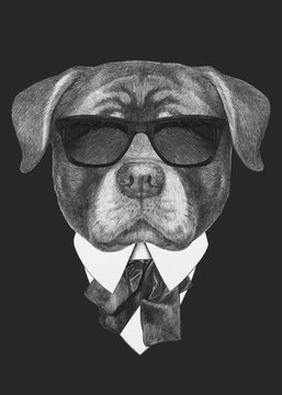 Portrait of Rottweiler in suit. Hand-drawn illustration. Vector isolated elements.	