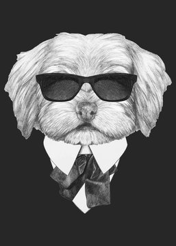 Portrait of Havanese in suit. Hand-drawn illustration. Vector isolated elements.	