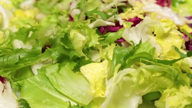 Closeup view of green mix of salad leaves isolated on white background.