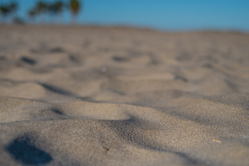  close-up of the sand of a beach with defocused background palms