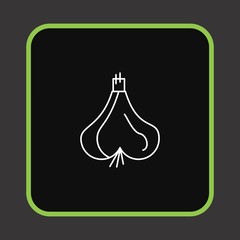  Garlic icon for your project