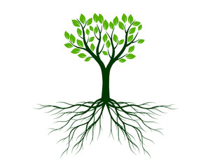 Green tree with roots. Vector Illustration. Plant in garden.