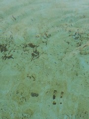 Background of green water 