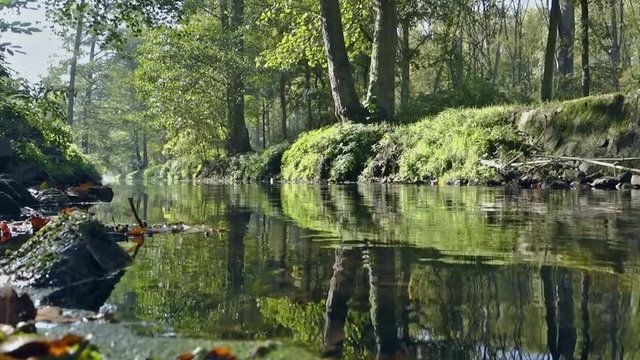 das sanfte Morgen Licht macht den Fluss zu einem Idylischen Ort