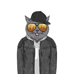British Shorthair cat breed Hipster portrait. Fashion anthropomorphic pet illustration. Animal dressed up in leather jacket, hoodie, cap and sunglasses. Modern urban city look. Hand drawn vector.