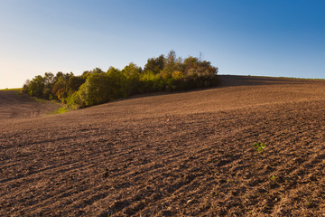Fototapeta na wymiar Agricultural landscape in autumn