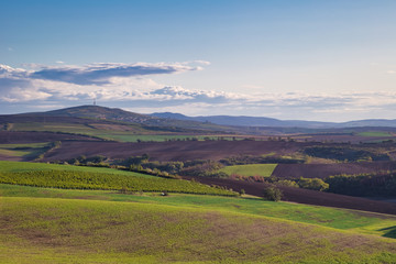 Agricultural landscape panorama