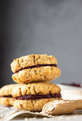 Vegan oat sandwich cookies with dried cranberry and orange filling, selective focus. Healthy breakfast or snack for children.