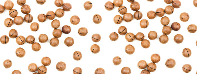 Raw not peeled whole macadamia nuts isolated on white