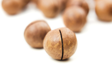 Raw not peeled whole macadamia nuts isolated on white