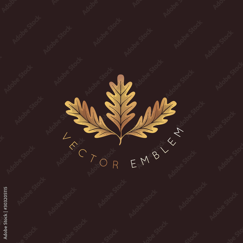 Poster vector logo design template with oak leaf - abstract emblem and symbol
