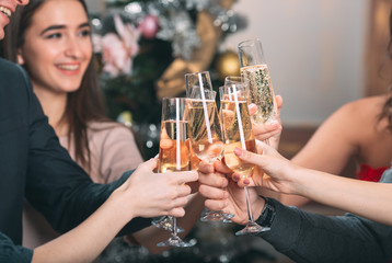 Portrait of several friends celebrating Christmas.