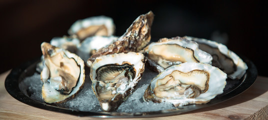 Oysters on the plate.