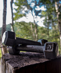 dramatic image of doumb bells on a wood base with blurred background