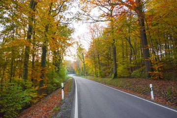 Obraz premium Autumn Street in the forest near Erlligheim, South of Germany