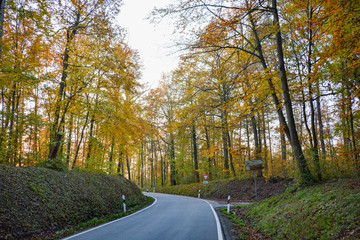 Obraz premium Autumn Street in the forest near Erlligheim, South of Germany