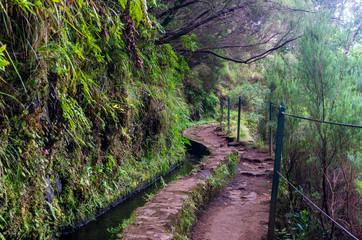 Obraz premium Irrigation canal levada