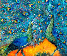 Peacock Feather Painting Photos Royalty Free Images Graphics