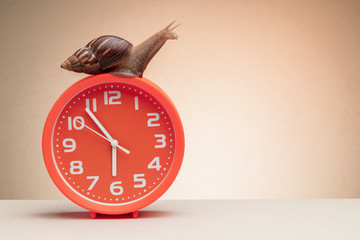 Snail on a clock showing seventeen hours fifty five minutes as a concept of slow motion with copy space © SerPhoto