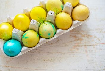 Colored blue and yellow Easter eggs in egg box. Traditional Christian eastertime. 