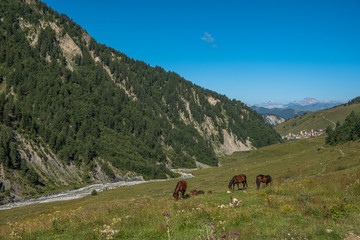 Adishi village in Caucasus Mountain - popular trek in Svaneti, Georgia. 