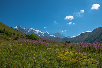 Fototapeta premium Adishi Glacier in Caucasus Mountain - popular trek in Svaneti, Georgia. 