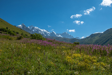 Fototapeta na wymiar Adishi Glacier in Caucasus Mountain - popular trek in Svaneti, Georgia. 