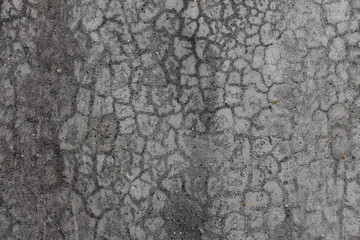 Fototapeta premium Abstract Leopard pattern on gray plaster wall