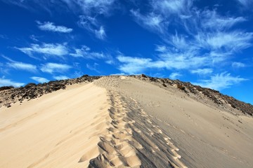 Fototapeta na wymiar Footsteps in the sand of an high dune of a Fuerteventura beach, Canary island 