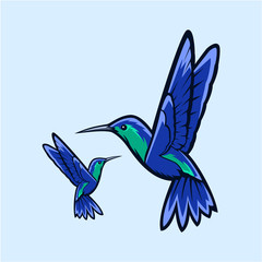 hummingbird vector