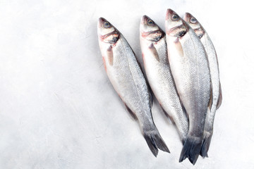 Fresh fish seabass on light grey table. Top view.