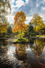 Fototapeta na wymiar London, England, 10 Nov 2019. Bright Colors in Holland Park's Japanese Kyoto Garden. A place of serenity in the busy city of London