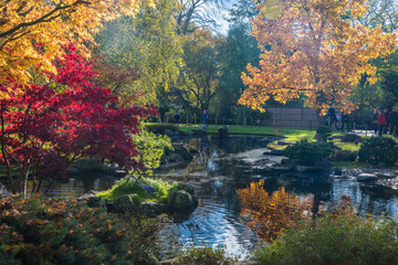 London, England, 10 Nov 2019. Bright Colors in Holland Park's Japanese Kyoto Garden. A place of serenity in the busy city of London