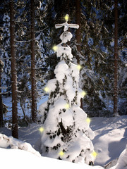 A real snow covered christmas tree in the forest with added stars