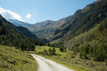 Fototapeta na wymiar Almweg durch das Krumeltal in Österreich