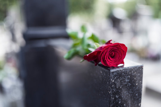 Rose on tombstone.