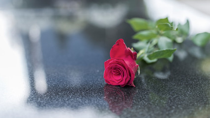 Religious tradition to put one flower in memory of the deceased on the granite slab of the grave in...