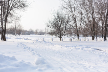 Fototapeta premium Winter poorly cleared road. Road in the countryside strewn with snow. Winter landscape with snowdrifts