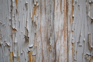 paint texture on wood. door with a sense of the background of the old and beautiful plane
