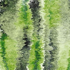 moss in forest