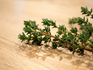 Thymian