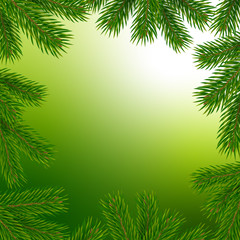 Fototapeta na wymiar Frame with christmas tree branches. Vector illustration