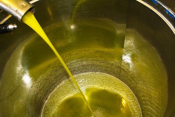 Extra virgin olive oil extraction process in olive oil mill in Greece.	