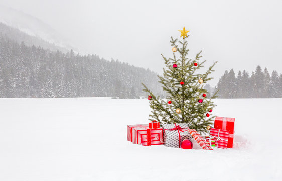 Real, live decorated Christmas tree with wrapped gifts presents in beautiful, snowy nature landscape background. Simple, natural, country style holiday decorations.