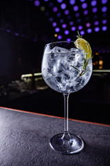 gin and tonic style tall wine glass with fresh fruit decoration garnish