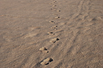 Footprints on the sand